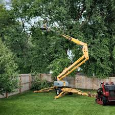 Best Organic Lawn Care Solutions  in Union Springs, AL