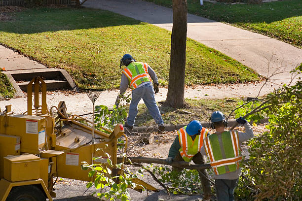 Best Tree Preservation Services  in Union Springs, AL